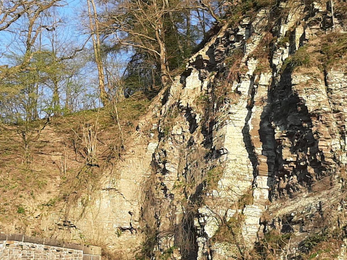 Garni-Hotel-Schaefer Schuld Bagian luar foto